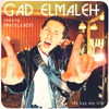 Its Kyz My Life (Radio Edit) - Gad Elmaleh