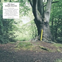 Simple Sounds - Will Saul