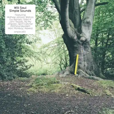 Listen to Simple Sounds by Will Saul