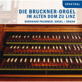In Memoriam A.B. Pro Organo: Ein Brucknermosaik