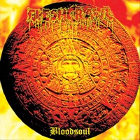 In the Dead of Night