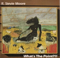 What's the Point?!! - R. Stevie Moore