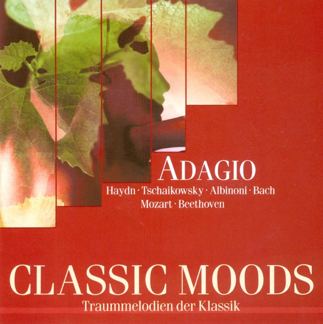 Flute Concerto No. 2 in D major, K. 314: II. Adagio ma non troppo