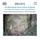 David Lloyd-Jones & Royal Scottish National Orchestra - 2 Pieces for Small Orchestra: No. 1. On Hearing the First Cuckoo in Spring