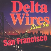 Delta Wires - One More Heartache