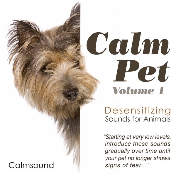 Vacuum Cleaner Sounds