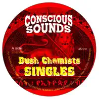 Money Run Tings — Bush Chemists and King General
