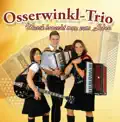Kleiner Harmonikaspieler (Radio Mix)
