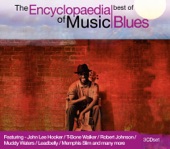 Muddy Waters - You’re Gonna Miss Me