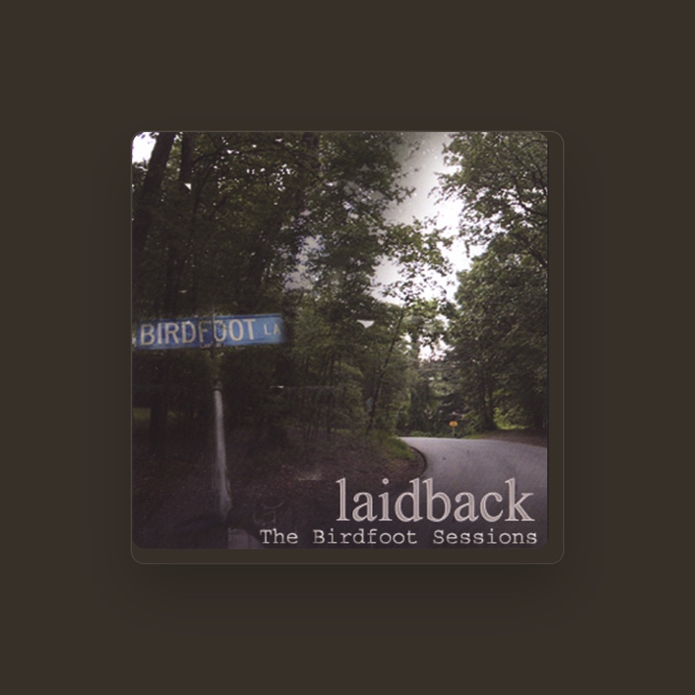 Фото Laidback