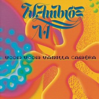 Voom Voom Vanilla Camera - Wolfgang Ambros