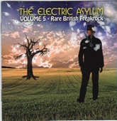 The Electric Asylum, Vol. 5