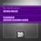 Flashback (Gregori Klosman Remix) - Jochen Miller lyrics
