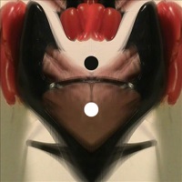 Heart Shaped Box - Single - Christopher O'Riley