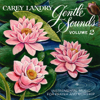 Carey Landry - Gentle Sounds - Instrumental Music for Prayer and Worship, Vol. 2 artwork