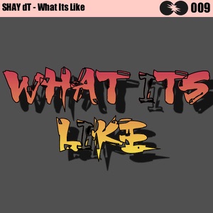 What Its Like (Original Mix)