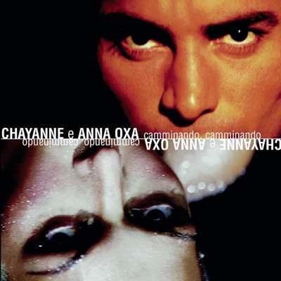 Chayanne - Salomé (P.M. Remix Radio Edit)
