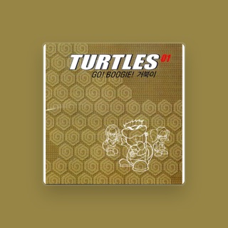 Turtles