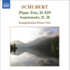 Kungsbacka Piano Trio - Schubert: Piano Trio No. 2 in E Flat Major - Sonatensatz artwork