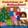 Ein kleiner weisser Schneemann