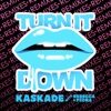Turn It Down (Remixes) [with Rebecca & Fiona] - EP