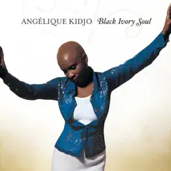 Black Ivory Soul - Angelique Kidjo