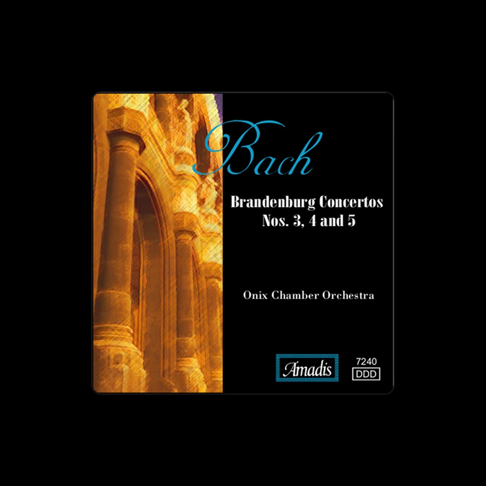 Фото Onix Chamber Orchestra