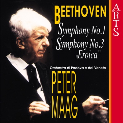 Symphony No. 3 Op. 55 "Eroica": IV. Finale: Allegro Molto - Poco Andante - Presto (Beethoven)-thumbnail