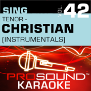 Cry Out To Jesus (Karaoke Instrumental Track) [In the Style of Third Day] - ProSound Karaoke Band