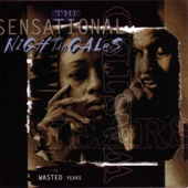 The Sensational Nightingales - You Got To Do Something