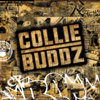 Mamacita - Collie Buddz