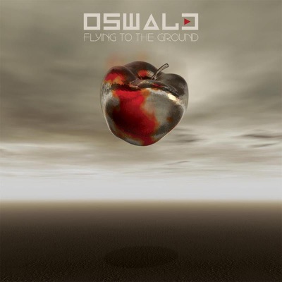 Flying to the Ground (Remixes)