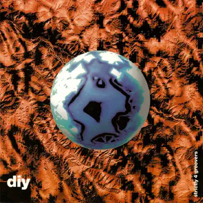Hör dir „Strictly 4 Groovers“ von DIY an