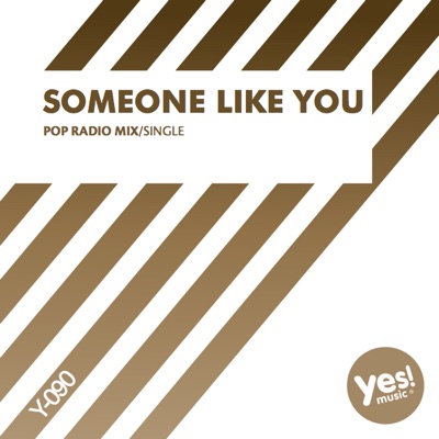 Someone Like You (Pop Radio Mix) - Single
