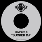 Sucker DJ (12inch Version)