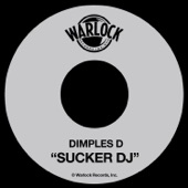 Sucker DJ (12inch Version) artwork