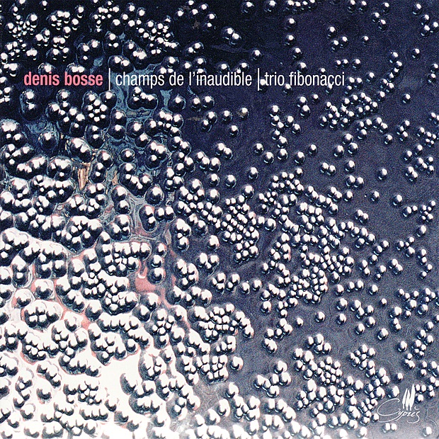 Bosse: Champs de L'Inaudible cover art