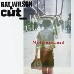 Millionairhead - Ray Wilson