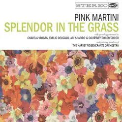 Splendor In the Grass (Bonus Track Version) - Pink Martini