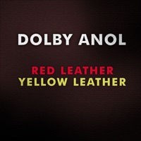 Red Leather / Yellow Leather - EP - Dolby Anol