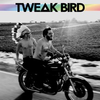 Tweak Bird - Tweak Bird