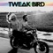 A Sun / Ahh Ahh - Tweak Bird lyrics