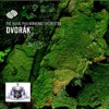 Antonin Dvorak Slavonic Dances, Op. 46 (Excerpts): Slavonic Dance No. 2 in E minor, op. 46 No. 2: Allegretto scherzando Antonín DvoÅák
