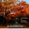 Farmer's Almanac - Mark Edward Lewis lyrics