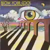 Triangle - Blow Your Cool