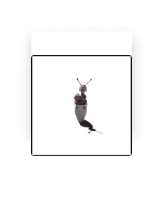 Ouve Eggshell Egoz, vê vídeos de música, lê a biografia, vê as datas da digressão e muito mais!