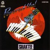 Shaktee - Shaktee Da Dhol