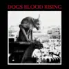 Current 93 - Christus Christus (The Shells Have Cracked)