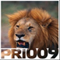 In Your Face / Discorunning - Single - Filo & Peri