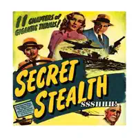 The Wonky Way — Secret Stealth